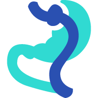 Bypass Gastric
